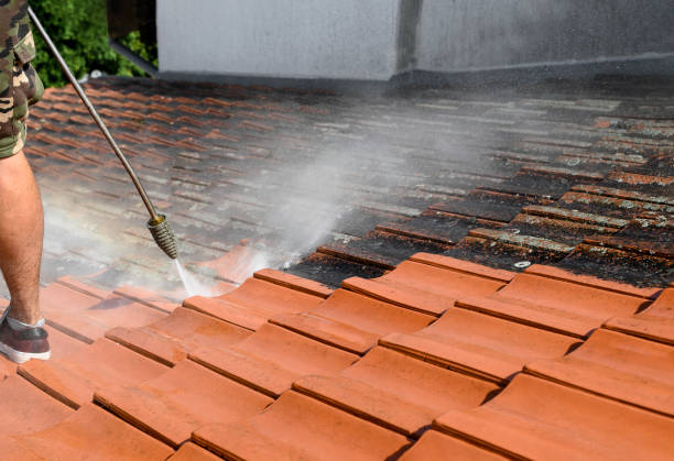 Best Local Pressure Washing Services  in Boonville, NC